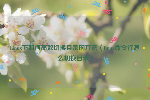 Linux下如何高效切换目录的方法（linux命令行怎么切换目录）