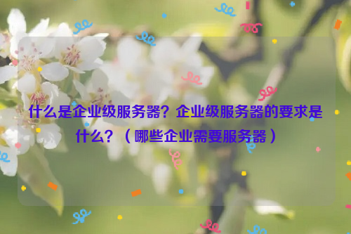 什么是企业级服务器？企业级服务器的要求是什么？（哪些企业需要服务器）