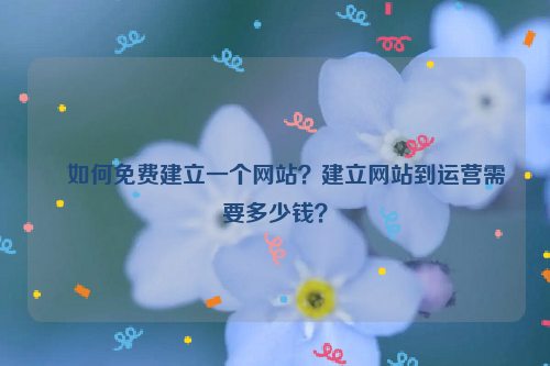 ﻿如何免费建立一个网站？建立网站到运营需要多少钱？