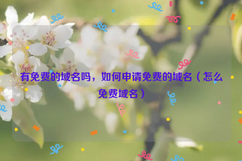 有免费的域名吗，如何申请免费的域名（怎么免费域名）