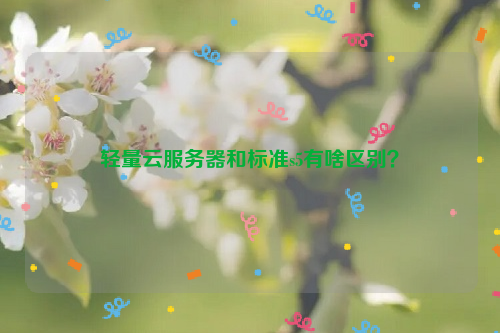 轻量云服务器和标准s5有啥区别？