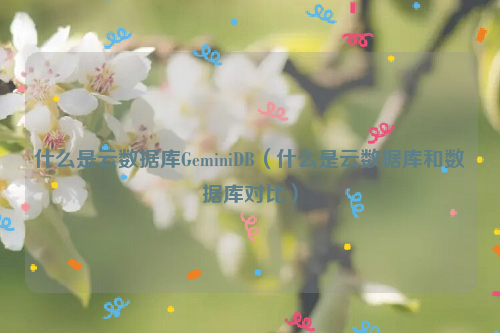 什么是云数据库GeminiDB（什么是云数据库和数据库对比）