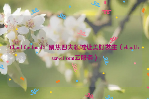 Cloud for Good：聚焦四大领域让美好发生（cloud.huawei com云服务）