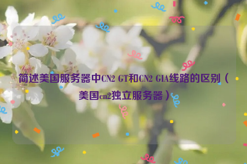 简述美国服务器中CN2 GT和CN2 GIA线路的区别（美国cn2独立服务器）