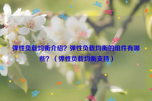 弹性负载均衡介绍？弹性负载均衡的组件有哪些？（弹性负载均衡支持）