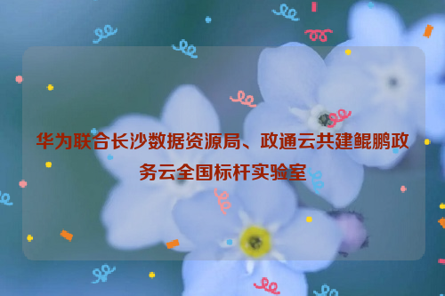 华为联合长沙数据资源局、政通云共建鲲鹏政务云全国标杆实验室