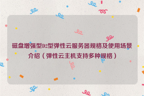 磁盘增强型D2型弹性云服务器规格及使用场景介绍（弹性云主机支持多种规格）