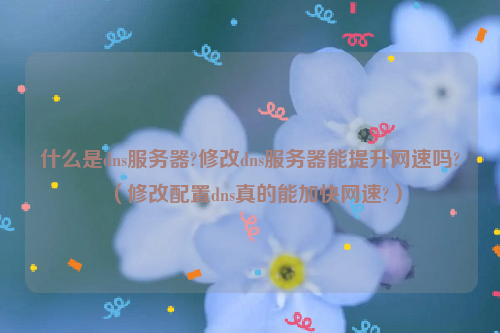 什么是dns服务器?修改dns服务器能提升网速吗?（修改配置dns真的能加快网速?）