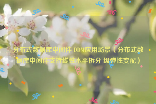 分布式数据库中间件 DDM应用场景（分布式数据库中间件支持线性水平拆分 级弹性变配）