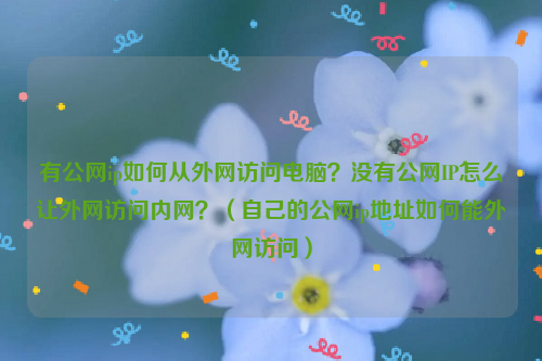 有公网ip如何从外网访问电脑？没有公网IP怎么让外网访问内网？（自己的公网ip地址如何能外网访问）