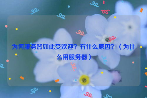 为何服务器如此受欢迎？有什么原因？（为什么用服务器）