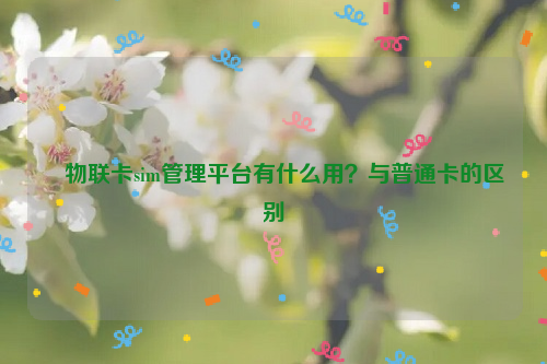 ﻿物联卡sim管理平台有什么用？与普通卡的区别