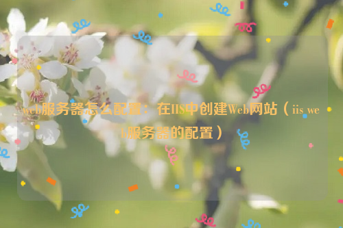 web服务器怎么配置：在IIS中创建Web网站（iis web服务器的配置）