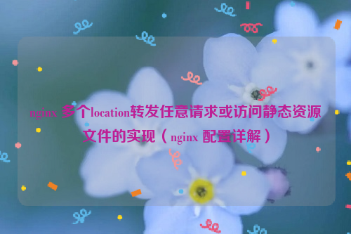 nginx 多个location转发任意请求或访问静态资源文件的实现（nginx 配置详解）