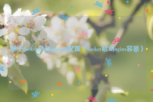 基于docker启动nginxssl配置（docker启动nginx容器）