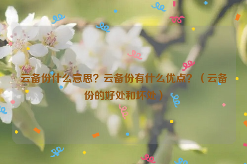 云备份什么意思？云备份有什么优点？（云备份的好处和坏处）