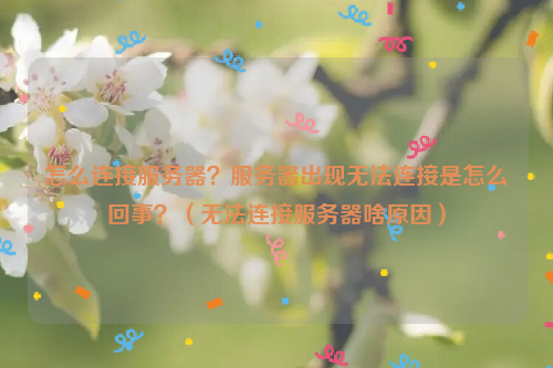 怎么连接服务器？服务器出现无法连接是怎么回事？（无法连接服务器啥原因）