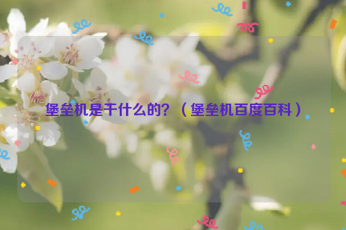 堡垒机是干什么的？（堡垒机百度百科）