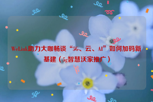 WeLink助力大咖畅谈“5G、云、AI”如何加码新基建（5g智慧沃家推广）