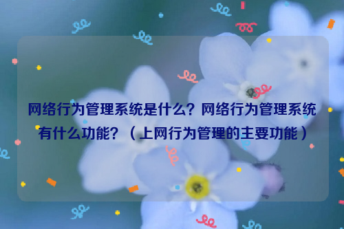 网络行为管理系统是什么？网络行为管理系统有什么功能？（上网行为管理的主要功能）