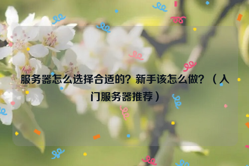 服务器怎么选择合适的？新手该怎么做？（入门服务器推荐）