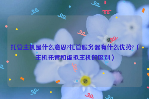 托管主机是什么意思?托管服务器有什么优势?（主机托管和虚拟主机的区别）