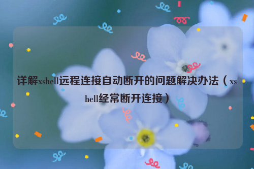 详解xshell远程连接自动断开的问题解决办法（xshell经常断开连接）