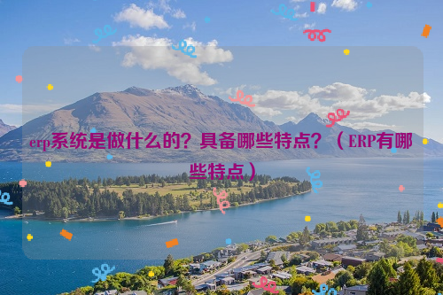 erp系统是做什么的？具备哪些特点？（ERP有哪些特点）