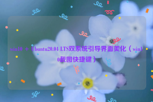 win10 + Ubuntu20.04 LTS双系统引导界面美化（win10截图快捷键）