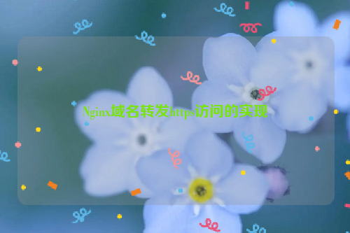 Nginx域名转发https访问的实现