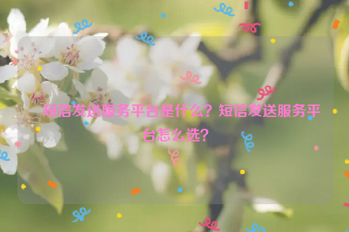 ﻿短信发送服务平台是什么？短信发送服务平台怎么选？