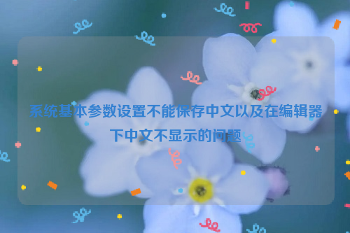 系统基本参数设置不能保存中文以及在编辑器下中文不显示的问题