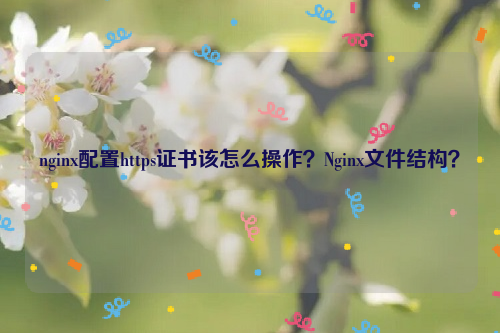 nginx配置https证书该怎么操作？Nginx文件结构？