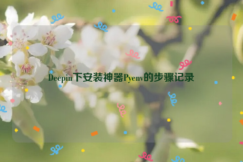 Deepin下安装神器Pyenv的步骤记录