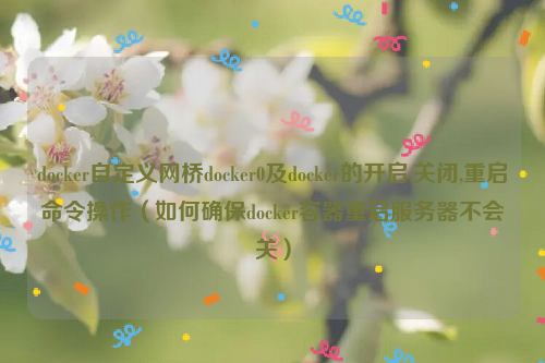 docker自定义网桥docker0及docker的开启,关闭,重启命令操作（如何确保docker容器重启服务器不会关）