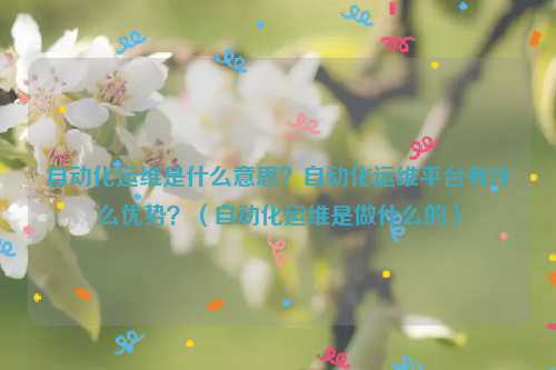 自动化运维是什么意思？自动化运维平台有什么优势？（自动化运维是做什么的）