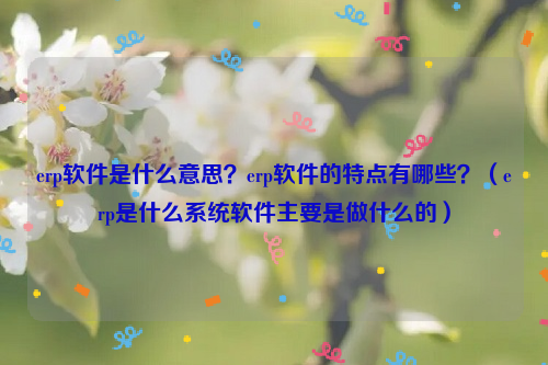 erp软件是什么意思？erp软件的特点有哪些？（erp是什么系统软件主要是做什么的）