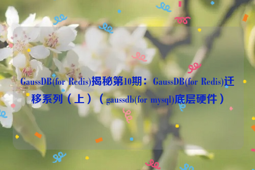 GaussDB(for Redis)揭秘第10期：GaussDB(for Redis)迁移系列（上）（gaussdb(for mysql)底层硬件）