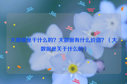 大数据是干什么的？大数据有什么价值？（大数据是关于什么的）