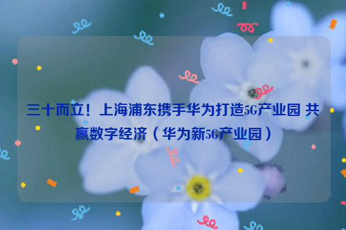 三十而立！上海浦东携手华为打造5G产业园 共赢数字经济（华为新5G产业园）