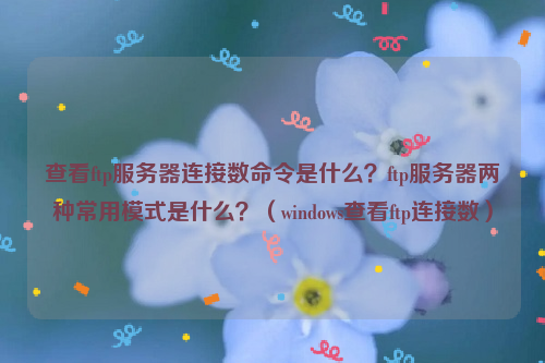 查看ftp服务器连接数命令是什么？ftp服务器两种常用模式是什么？（windows查看ftp连接数）