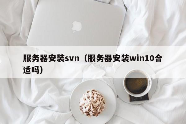 服务器安装svn（服务器安装win10合适吗）