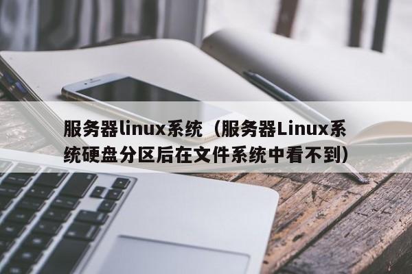 服务器linux系统（服务器Linux系统硬盘分区后在文件系统中看不到）