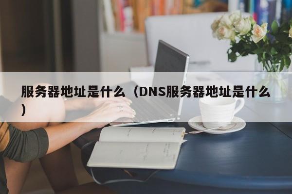 服务器地址是什么（DNS服务器地址是什么）