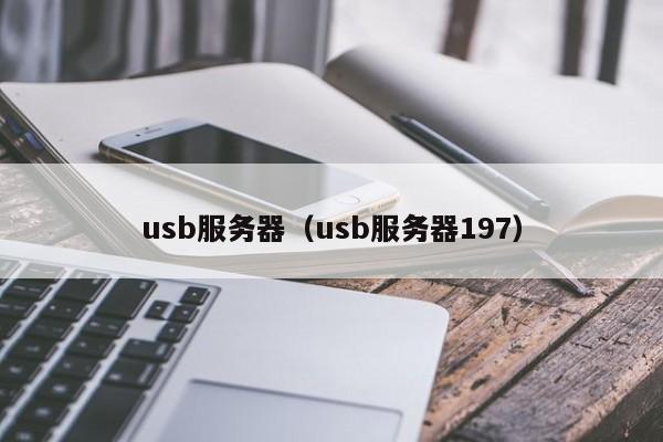 usb服务器（usb服务器197）