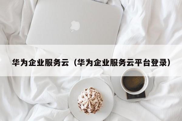 华为企业服务云（华为企业服务云平台登录）