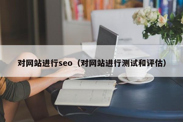 对网站进行seo（对网站进行测试和评估）