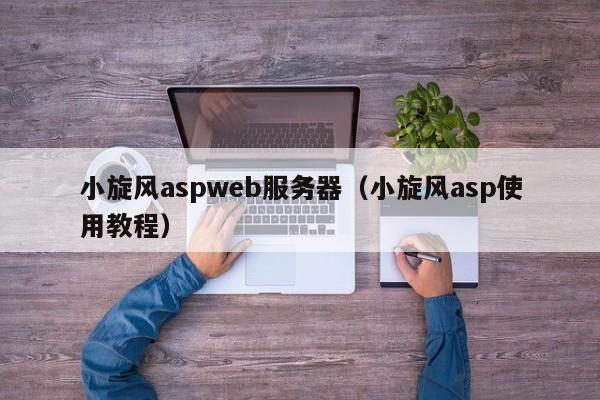 小旋风aspweb服务器（小旋风asp使用教程）