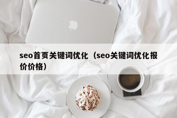 seo首页关键词优化（seo关键词优化报价价格）