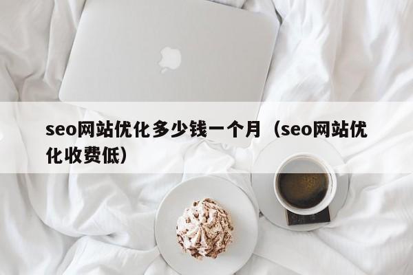 seo网站优化多少钱一个月（seo网站优化收费低）